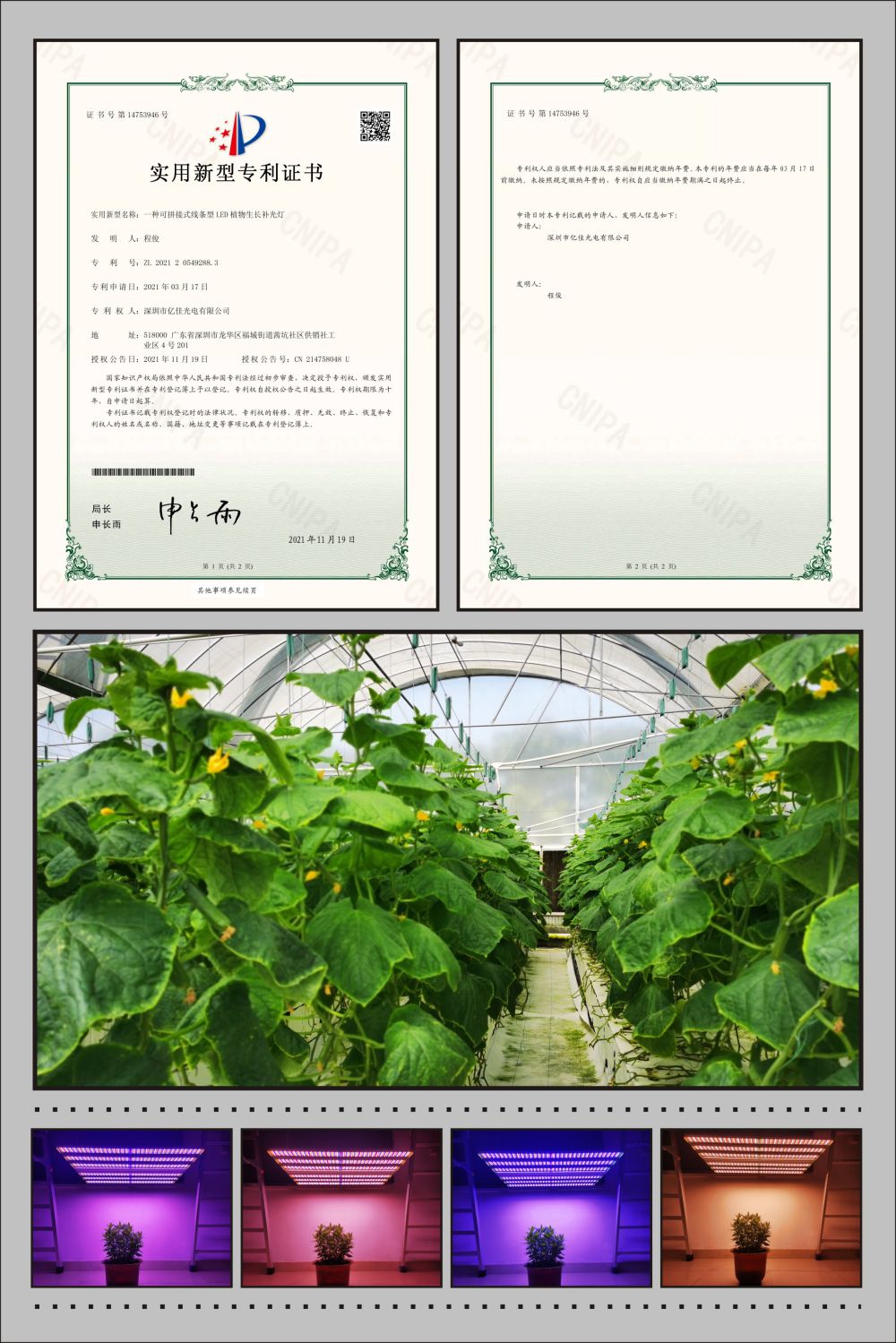 ag真人国际植物农场灯适用新型专利